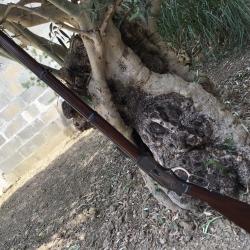 Suprerbe Winchester 1873 musket cal 44/40