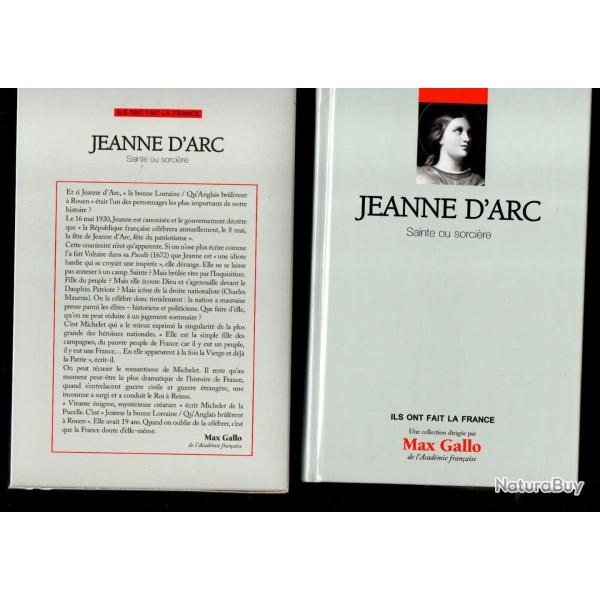 jeanne d'arc sainte ou sorcire de laurent hablot collection ils ont fait la france sous emboitage