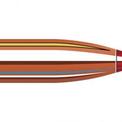 OGIVES HORNADY 22 CAL.224 53GR V-MAX