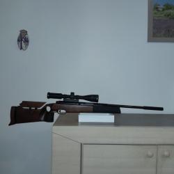 Carabine Feinwerkbau 300S RT