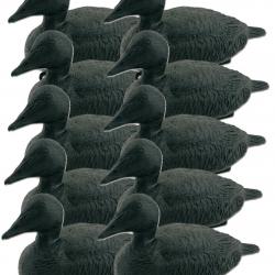 Pack 10 appelants Eiders Noirs