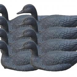Pack 8 appelants oie noire flottante