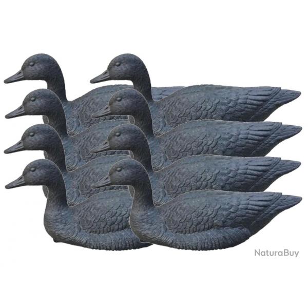 Pack 8 appelants oie noire flottante