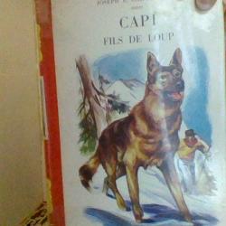 Capi fils de loup par Joseph E. Chipperfield - Bibliothèque rouge et or -