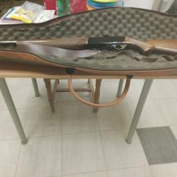 Browning 300 à pompe.