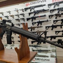 Springfield Armory Model SA-16 223 20"