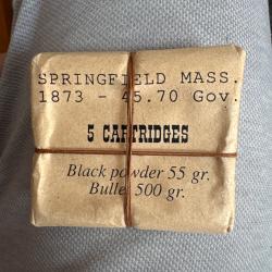 Springf Iefd mas 1873 45.70gov