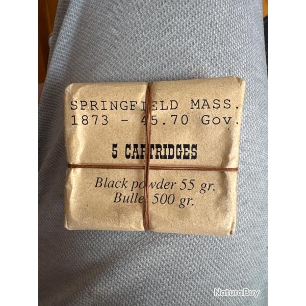 Springf Iefd mas 1873 45.70gov