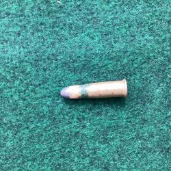 Munition carabine suisse vetterli