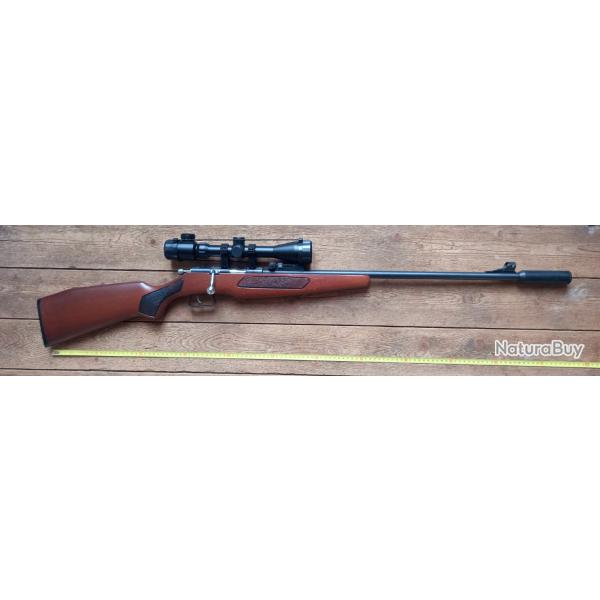 Carabine 22LR Manu Arm avec silencieux et lunette 3-940