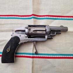 Revolver Velodog