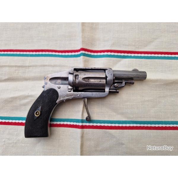 Revolver Velodog