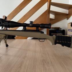 Rémi gros modèle 783 calibre 308
