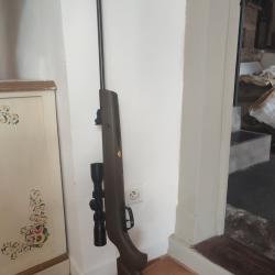 Carabine à air comprimé Gamo précision Airguns. Achetée mai 2025