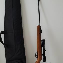 Pack Carabine à plomb Remington Express