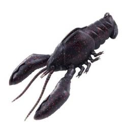 Sleeper Craw - Midnight Craw