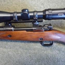 CARABINE en 375 mag