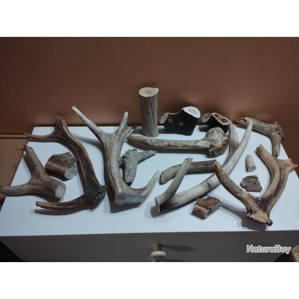 LOT MORCEAUX DE BOIS DE CERFS SECOND CHOIX