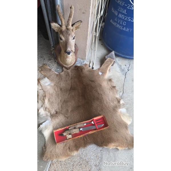 Lot trophe de chasse chevreuil/sanglier