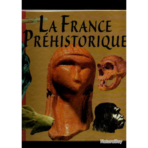 la france prhistorique pierre marchand