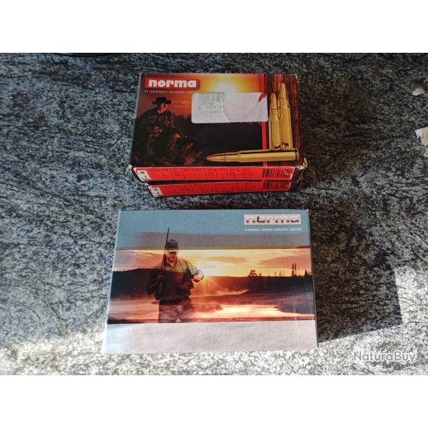 Balle 7x65r Norma Vulkan lot de 2