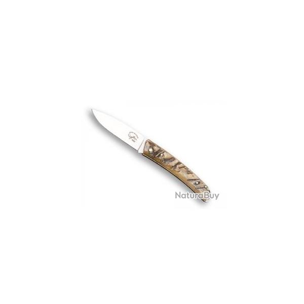 Couteau Salamandra lame acier inox N690 manche 9 cm corne brute.
