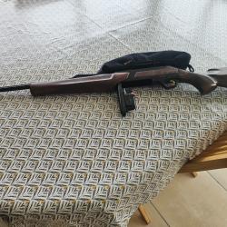 Carabine semi auto BROWNING Bar Zenith Wood 270 wsm.