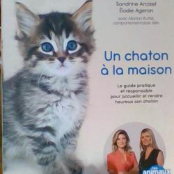 Un chaton a la maison par Sandrine Arcizet et Elodie Ageron - First Editions -