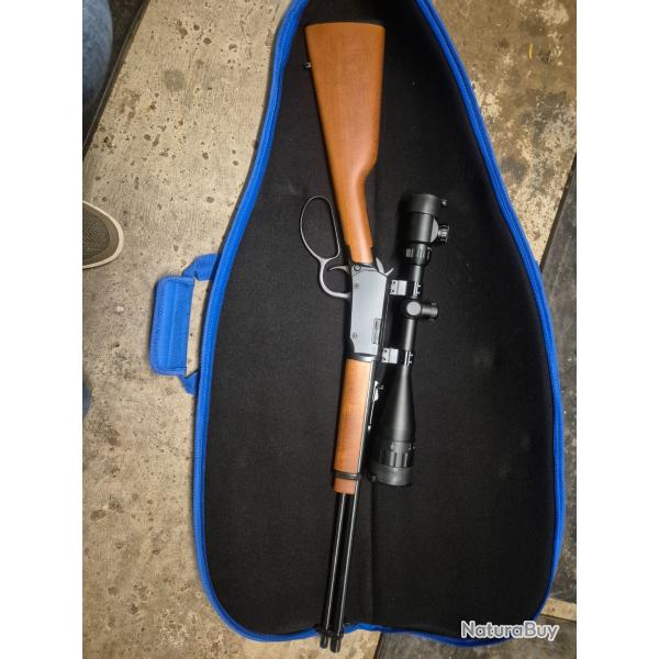 Carabine Rio Bravo 22lr