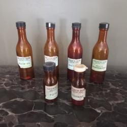 lot de 6 bouteilles / flacons médical / pharmaceutique paris