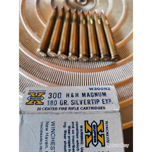 Balles 300 winchester super mag