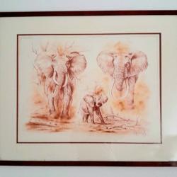 Sanguine originale de Pierre Couzy, encadrée et signée