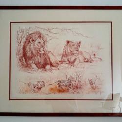 "fierté de lions" Sanguine originale de Pierre Couzy, encadrée et signée