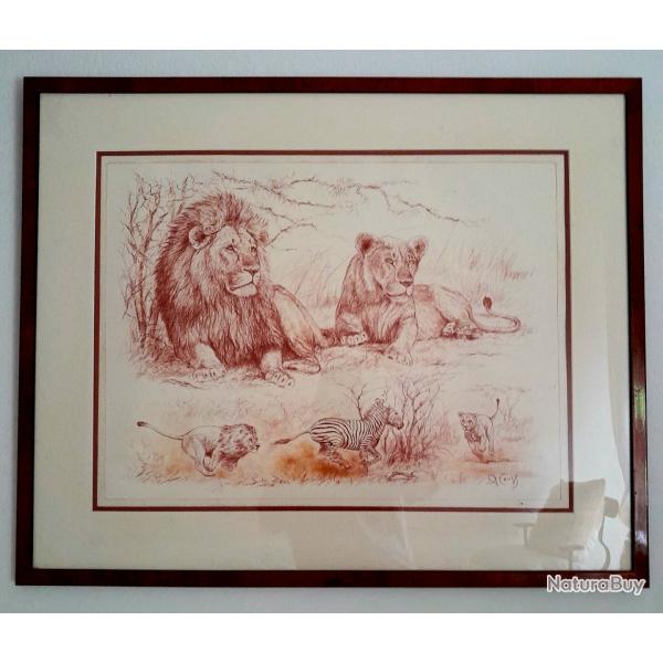 "fiert de lions" Sanguine originale de Pierre Couzy, encadre et signe