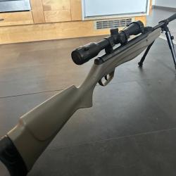 Carabine à plomb + cible
