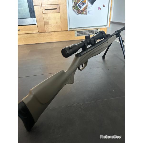 Carabine  plomb + cible