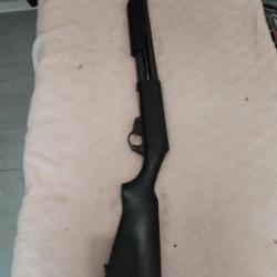 Fusil à pompe calibre 12