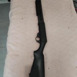 Fusil à pompe calibre 12