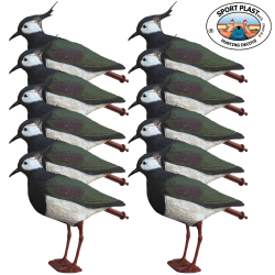 Pack 10 appelants vanneaux huppés à pattes SPORTPLAST