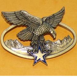Brevet de Chef d'Equipe de Haute Montagne, 2 pontets, FABRICANT DELSART ,HOMOLOGATION GS 138, ETAT V