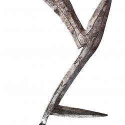 Couteau de jet du peuple Banda .