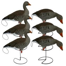APPELANTS OIES CENDREES Pro Grade SUR PIED X6