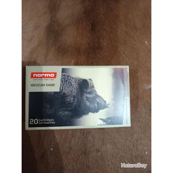 Lots de 25 balles NORMA PLASTIC POINT CALIBRE 300 WIN MAG