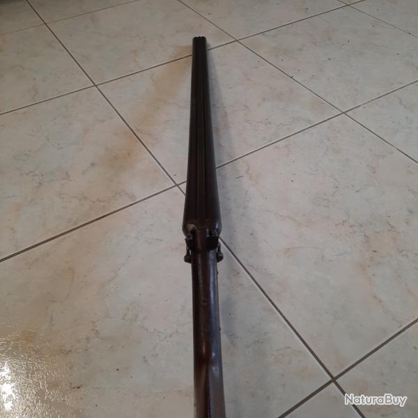 Fusil  chien extrieur cal.12
