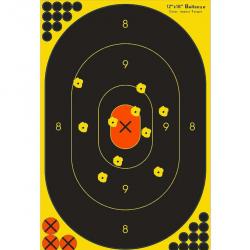 10 cibles réactives Grand Format (30,48 cm x 45,72 cm) (2)