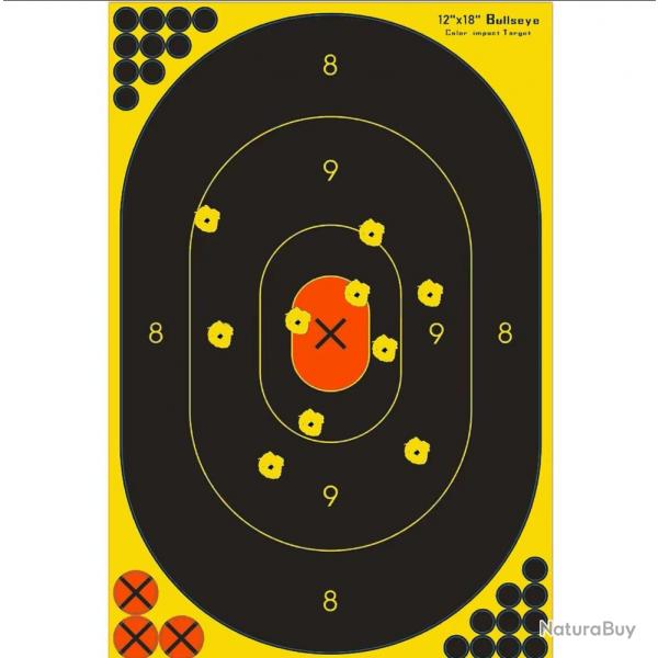 10 cibles ractives Grand Format (30,48 cm x 45,72 cm) (2)