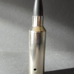 UNE BELLE CARTOUCHE cal. 300 WSM ETUIS NICKELE BALLE XP3 NEUTRALISEE