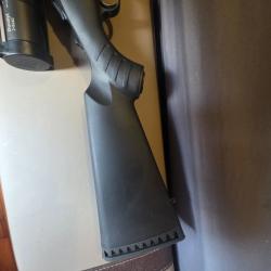 Carabine ruger gaucher 243w