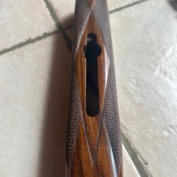 longuesse Perazzi