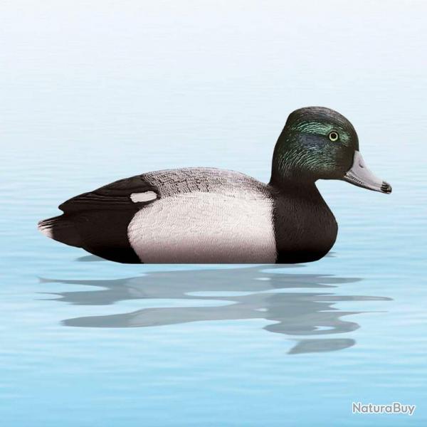 APPELANT CANARD MORILLON MLE SPORT PLAST